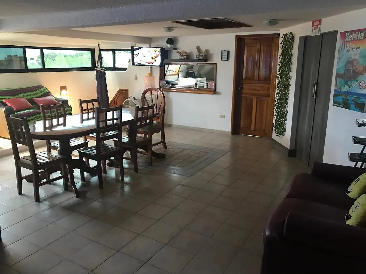Izsla Hostel Playa Del Carmen