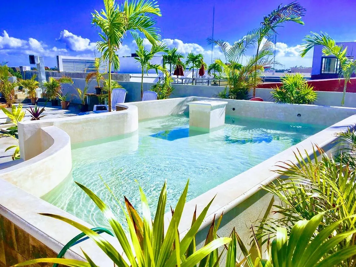 Izsla Hostel Playa Del Carmen Mexico